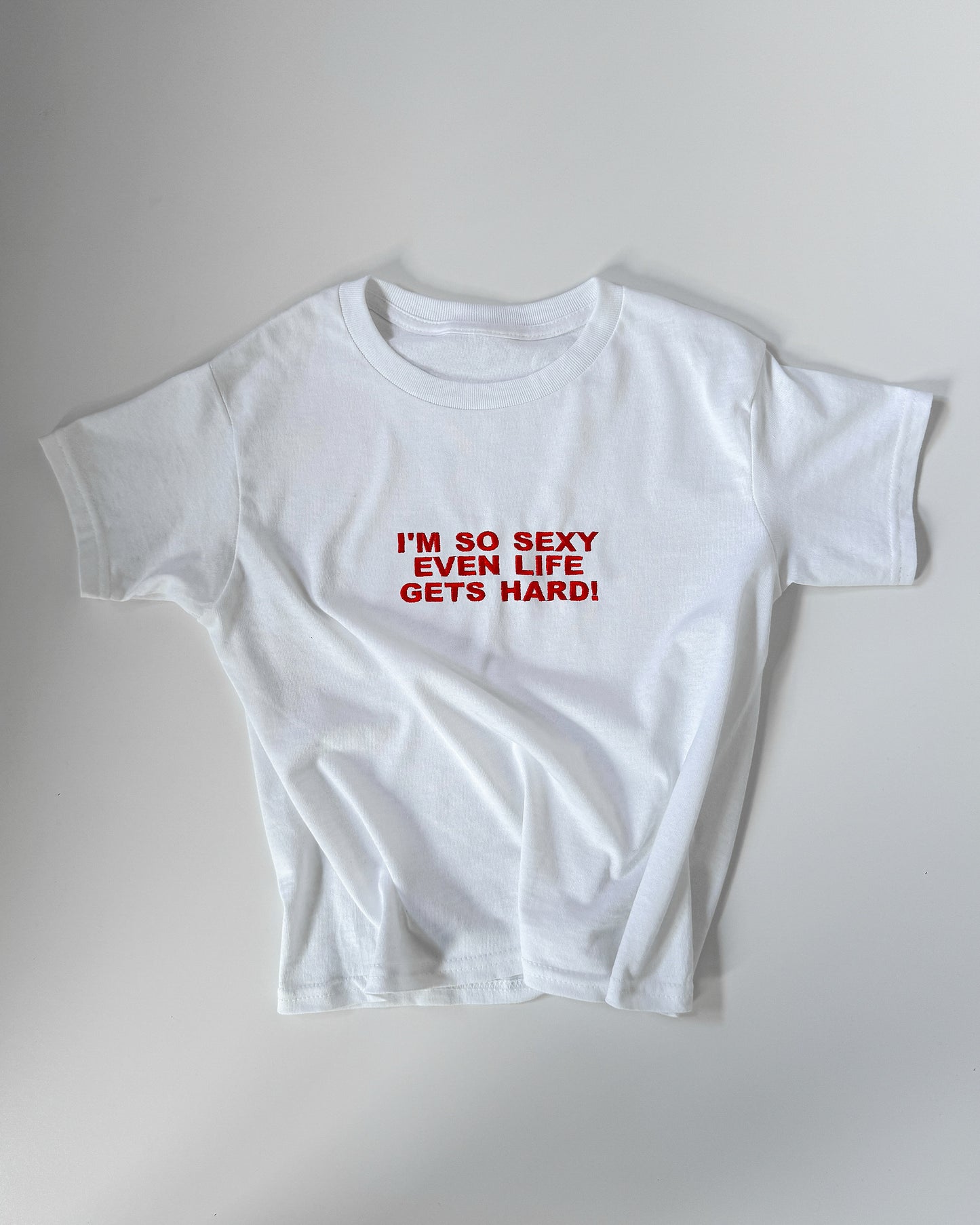 Embroidered 'I’m So Sexy, Even Life Gets Hard' 90s Y2K T-Shirt