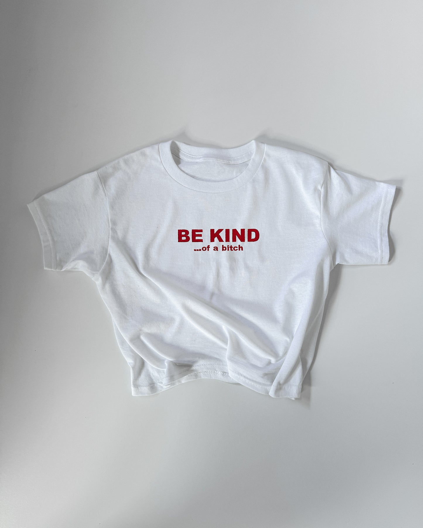 Embroidered 'BE KIND...of a bitch' 90s Y2K T-Shirt