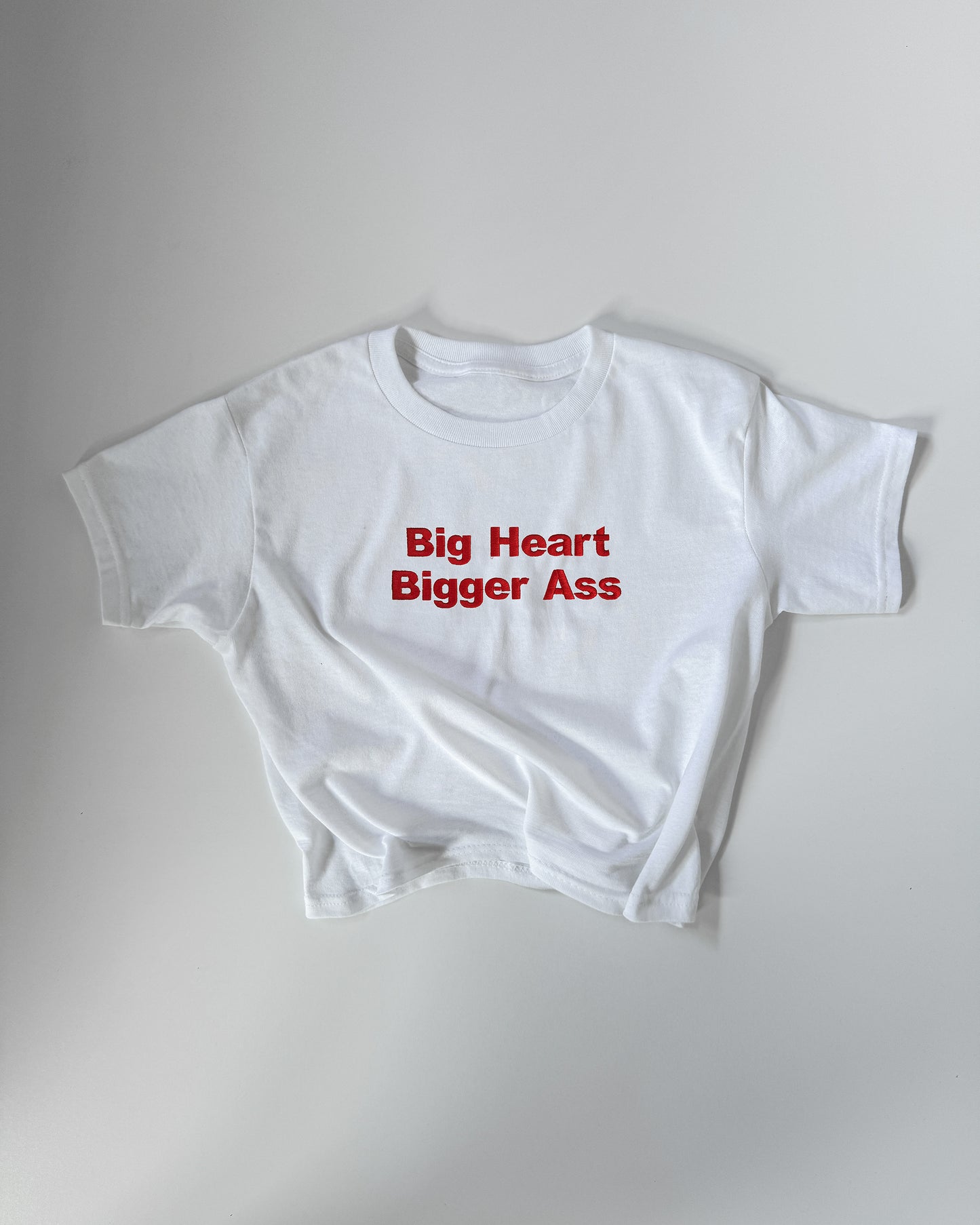 Embroidered 'BIG HEART BIGGER ASS' 90s Y2K T-Shirt