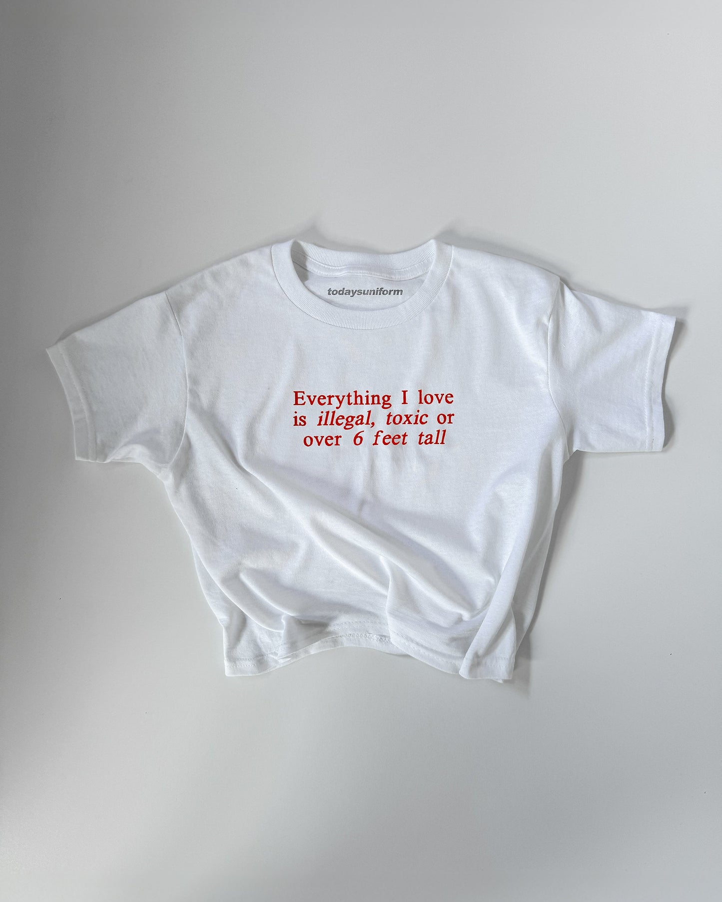 Embroidered 'EVERYTHING I LOVE IS ILLEGAL,TOXIC OR 6 FEET TALL' 90s Y2K T-Shirt