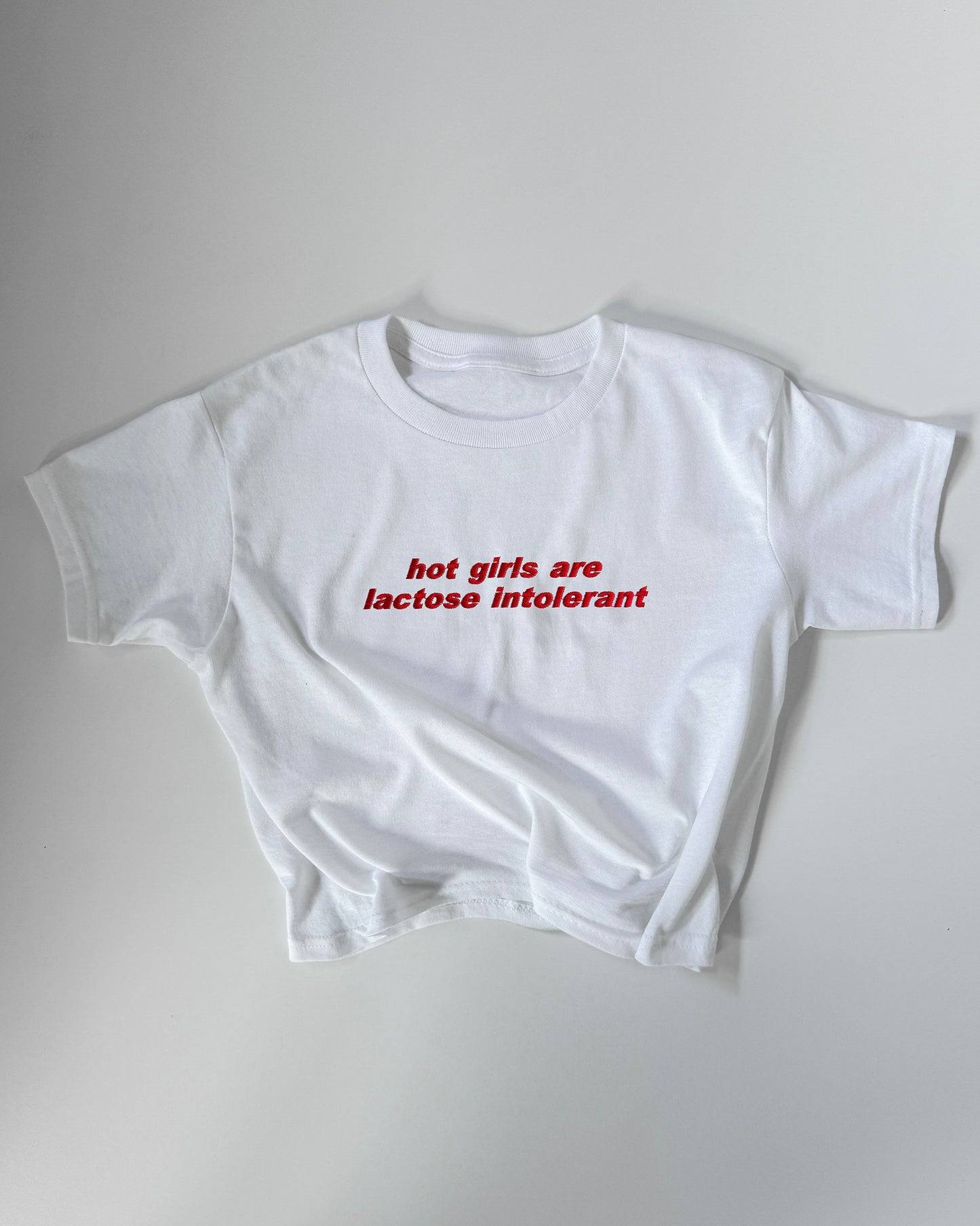 Embroidered 'Hot Girls Are Lactose Intolerant' 90s Y2K T-Shirt