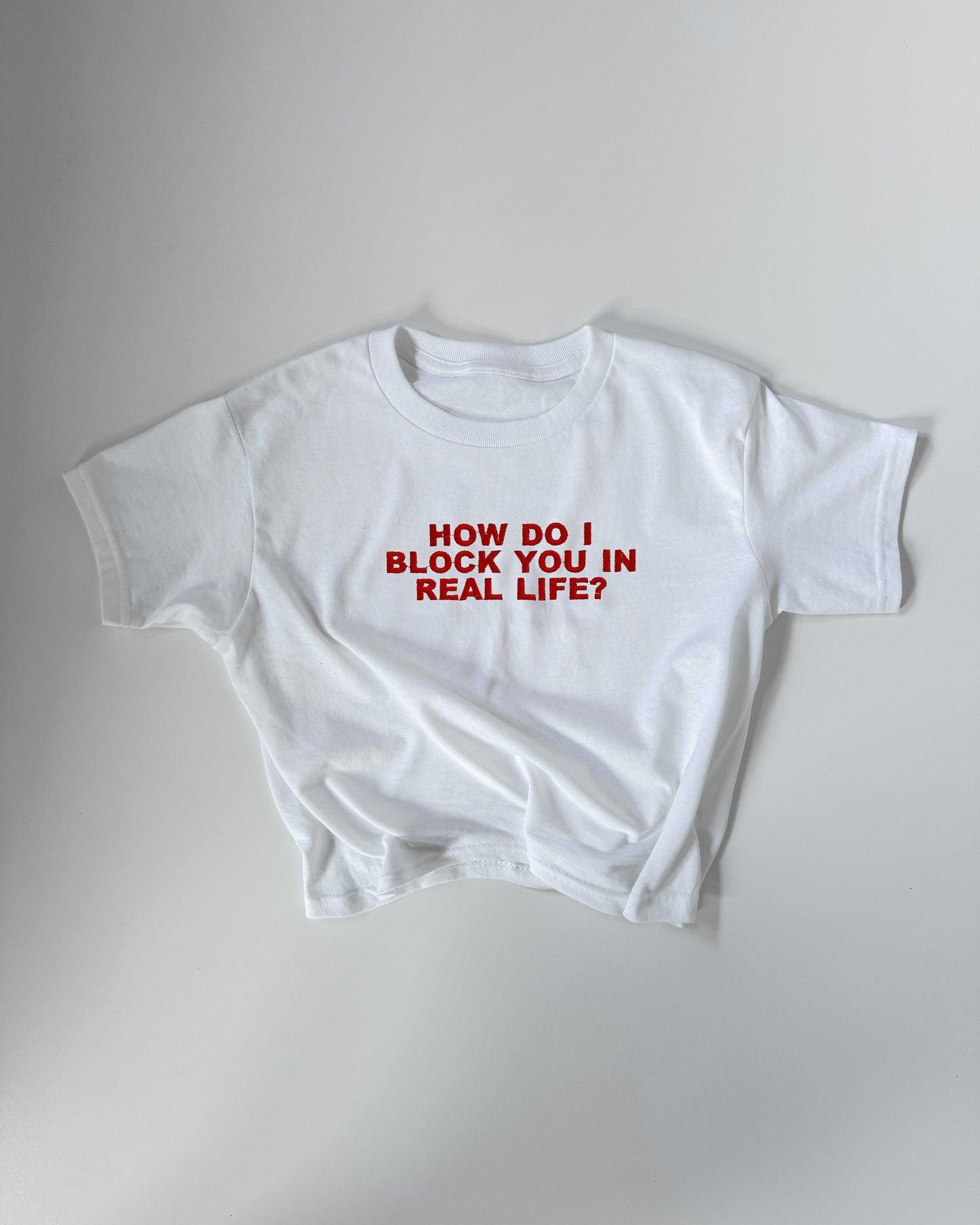 Embroidered HOW DO I BLOCK YOU IN REAL LIFE?' 90s Y2K T-Shirt