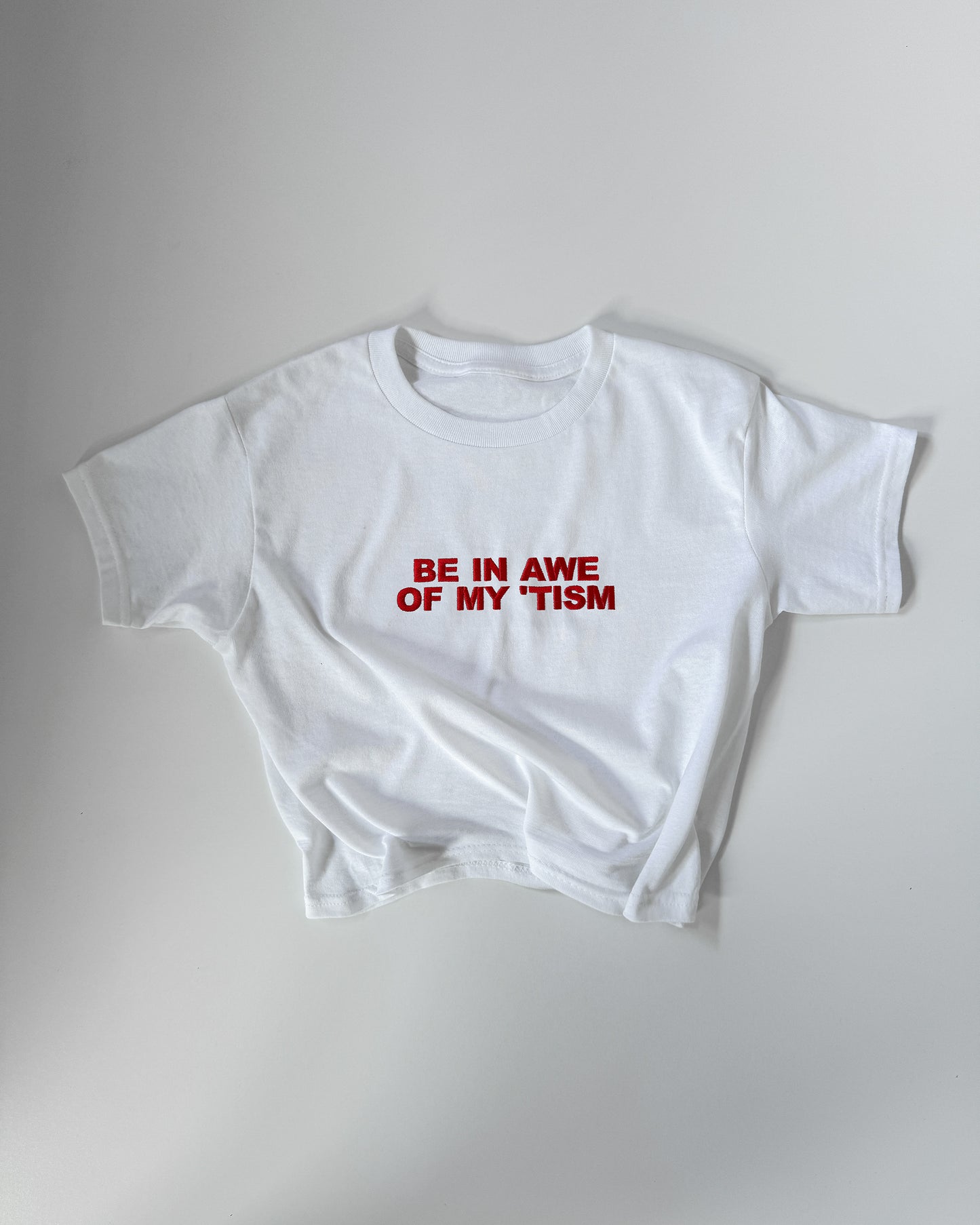 Embroidered 'BE IN AWE OF MY ‘TISM' 90s Y2K T-Shirt