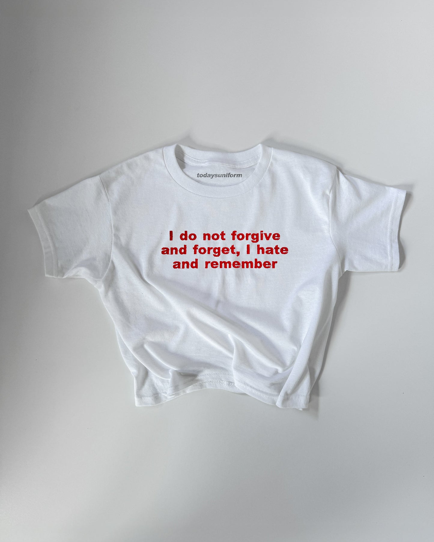 Embroidered 'I DO NOT FORGIVE AND FORGET. I HATE AND REMEMBER' 90s Y2K T-Shirt