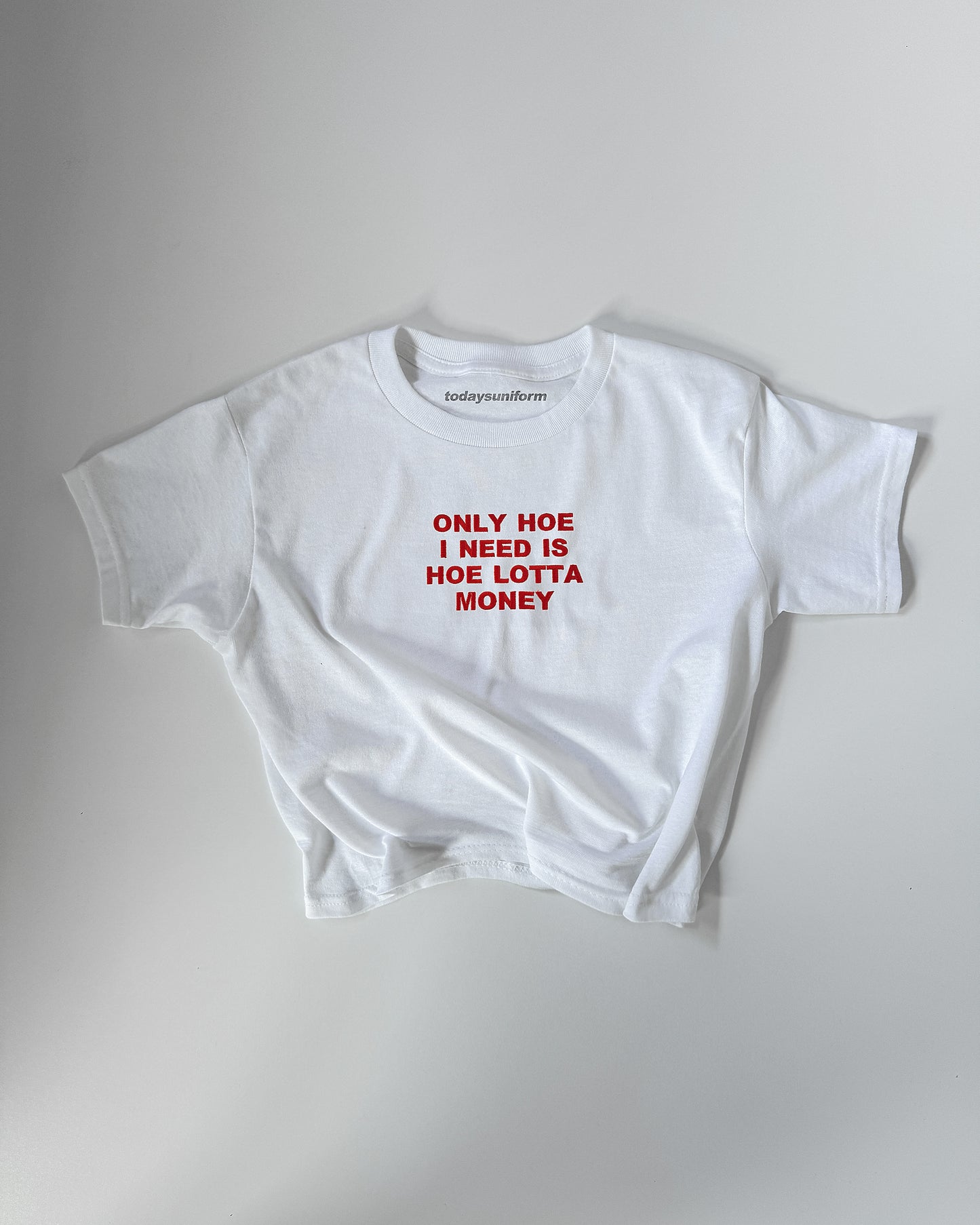 Embroidered 'ONLY HOE I NEED IS A HOE LOTTA MONEY' 90s Y2K T-Shirt