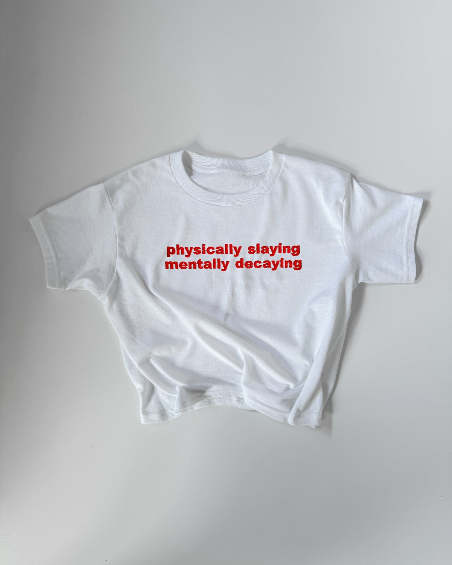 Embroidered 'PHYSICALLY SLAYING MENTALLY DECAYING' 90s Y2K T-Shirt
