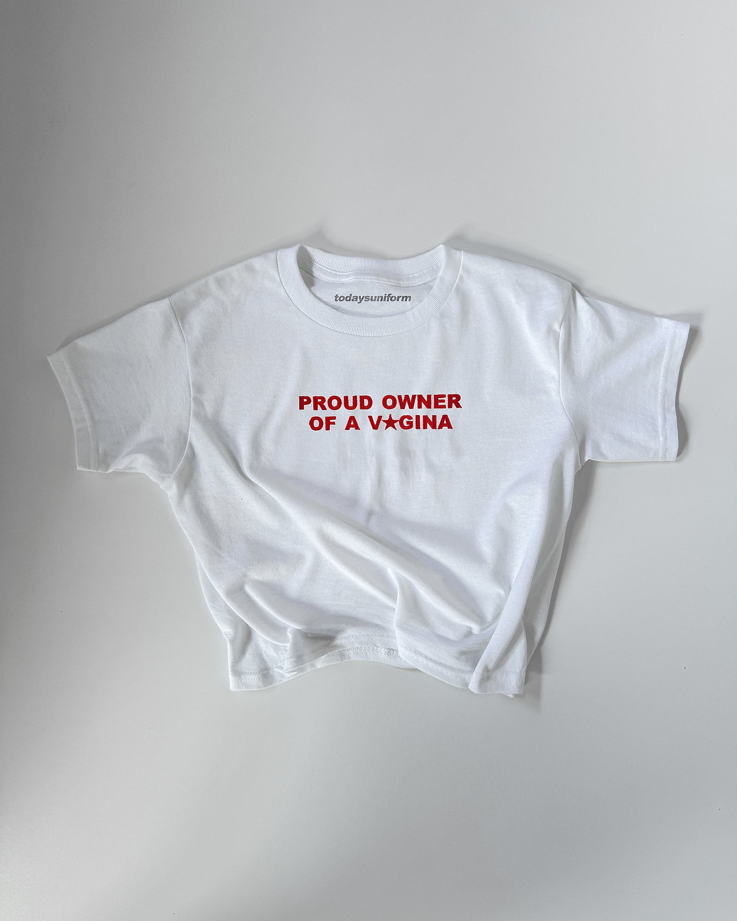 Embroidered 'PROUD OWNER OF A VAGINA' 90s Y2K T-Shirt