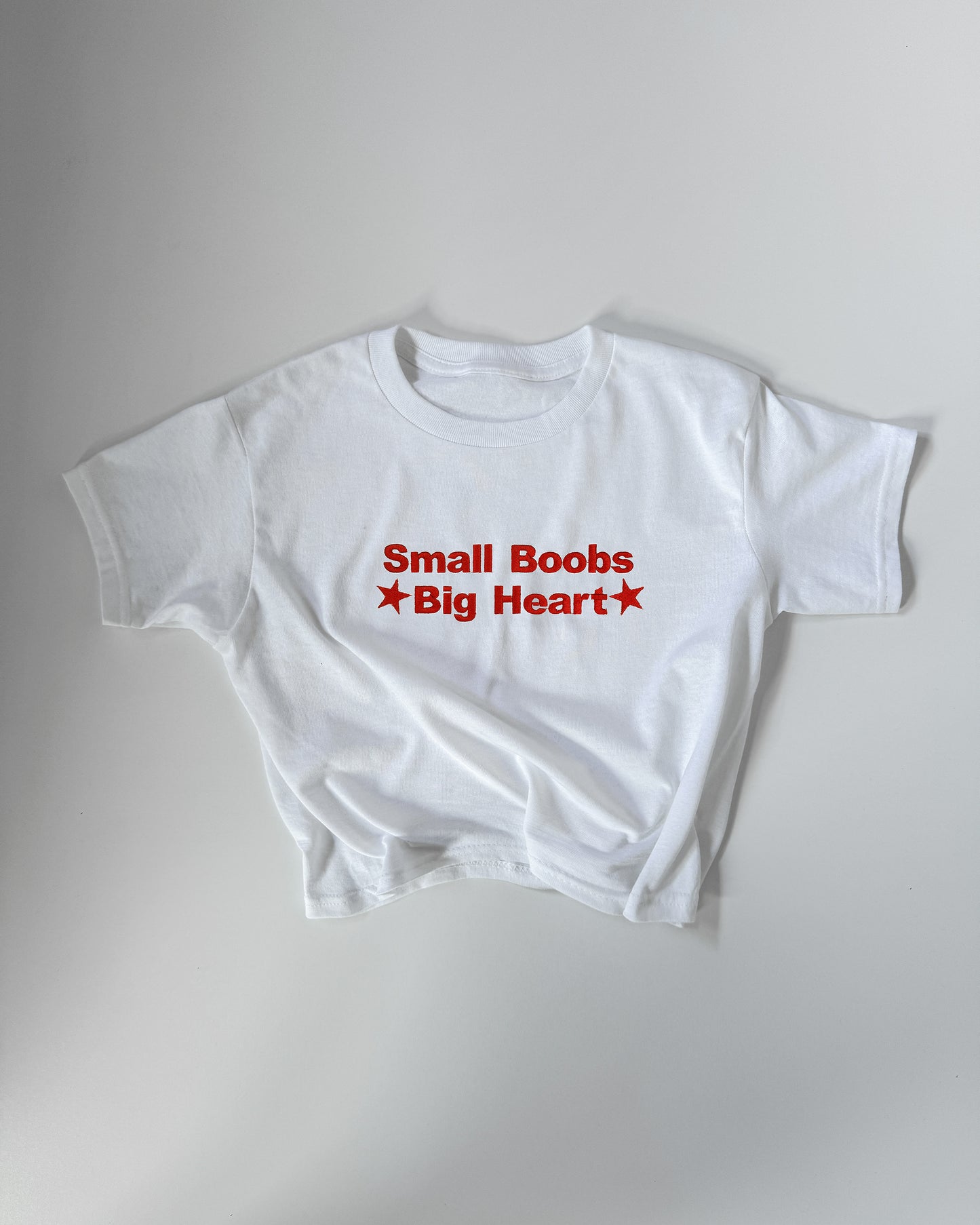 Embroidered 'SMALL BOOBS BIG HEART' 90s Y2K T-Shirt