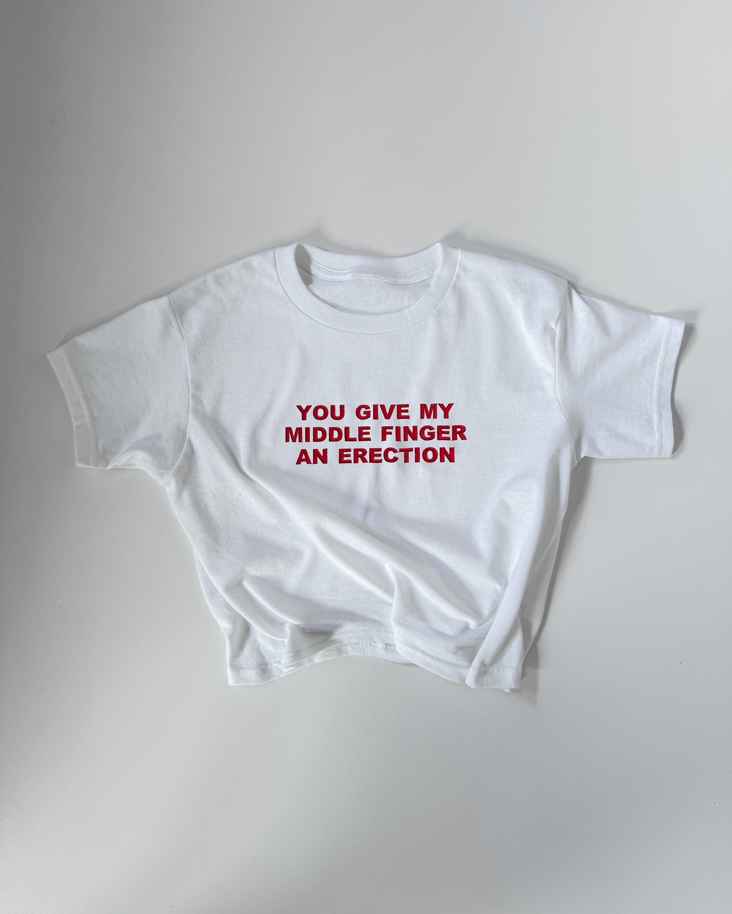 Embroidered 'YOU GIVE MY MIDDLE FINGER AN ERECTION' 90s Y2K T-Shirt
