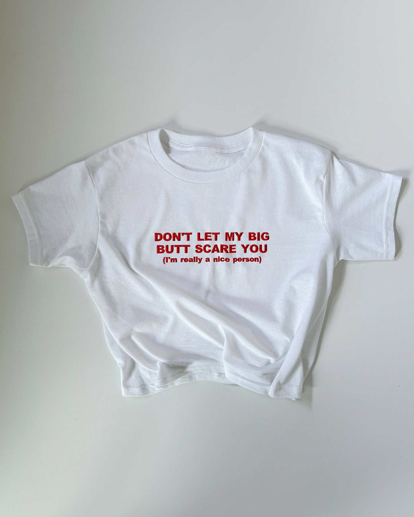 Embroidered 'Don't Let My Big Butt Scare You, I’m Really A Nice Person' 90s Y2K T-Shirt