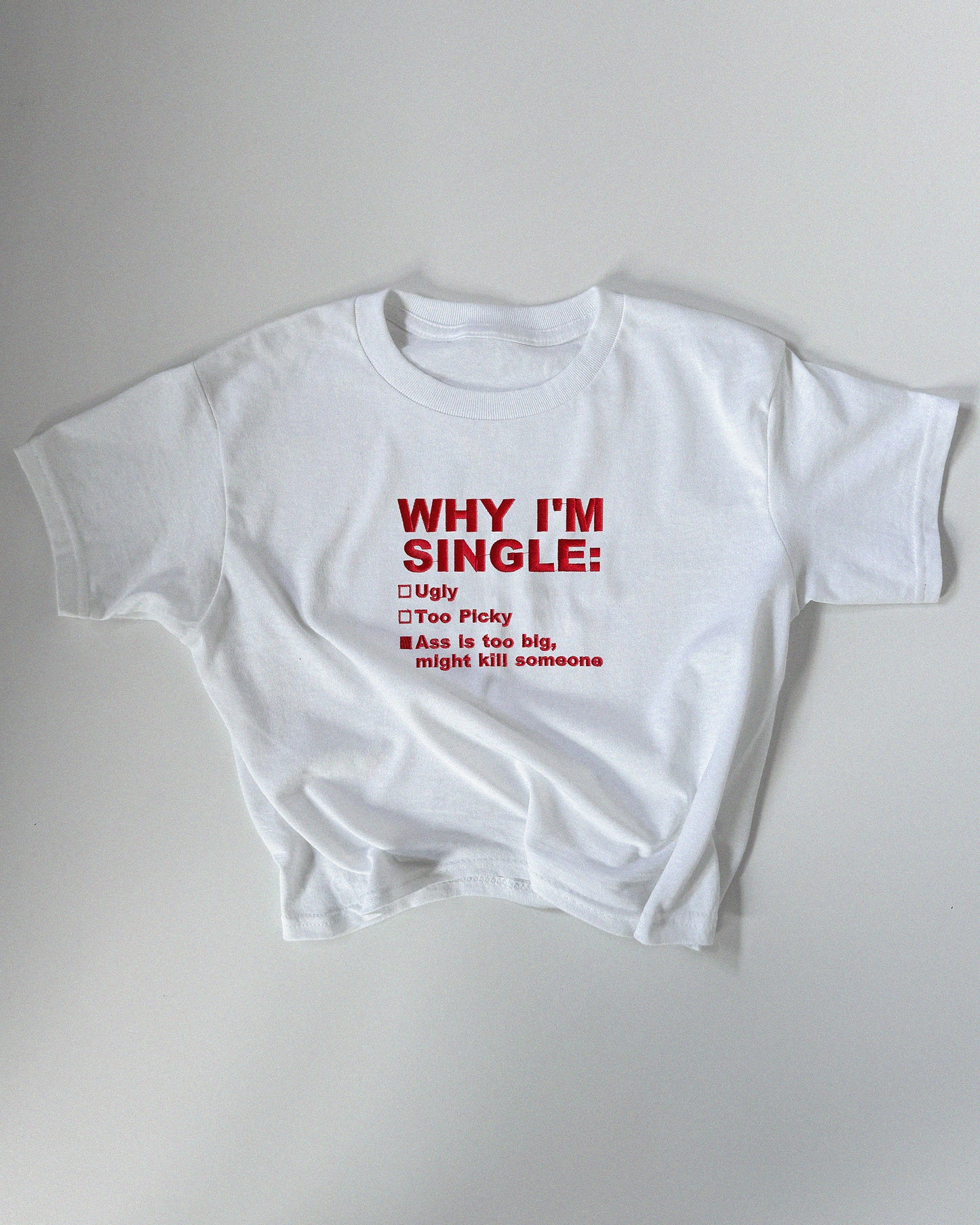 Embroidered 'WHY I’M SINGLE (Ass Version)' 90s Y2K T-Shirt