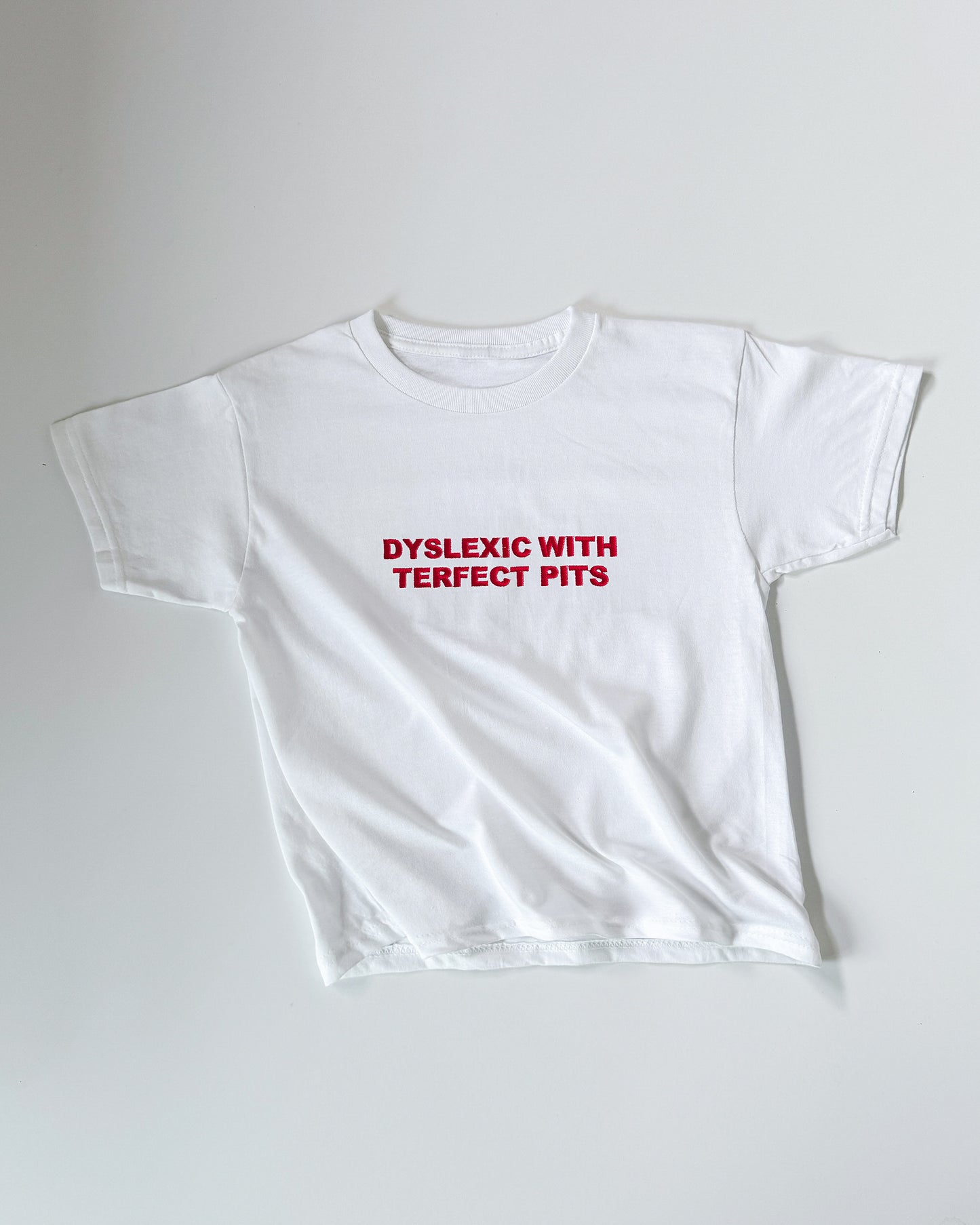 Embroidered 'Dyslexic With Terfect Pits' 90s Y2K T-Shirt