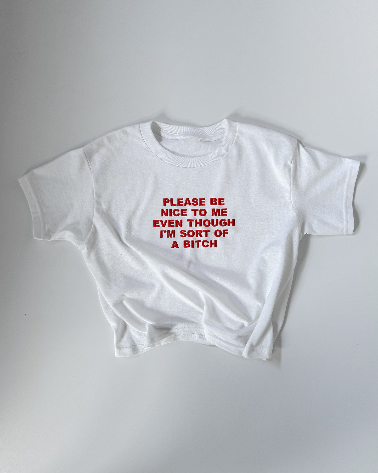 Embroidered 'Please Be Nice To Me' 90s Y2K T-Shirt