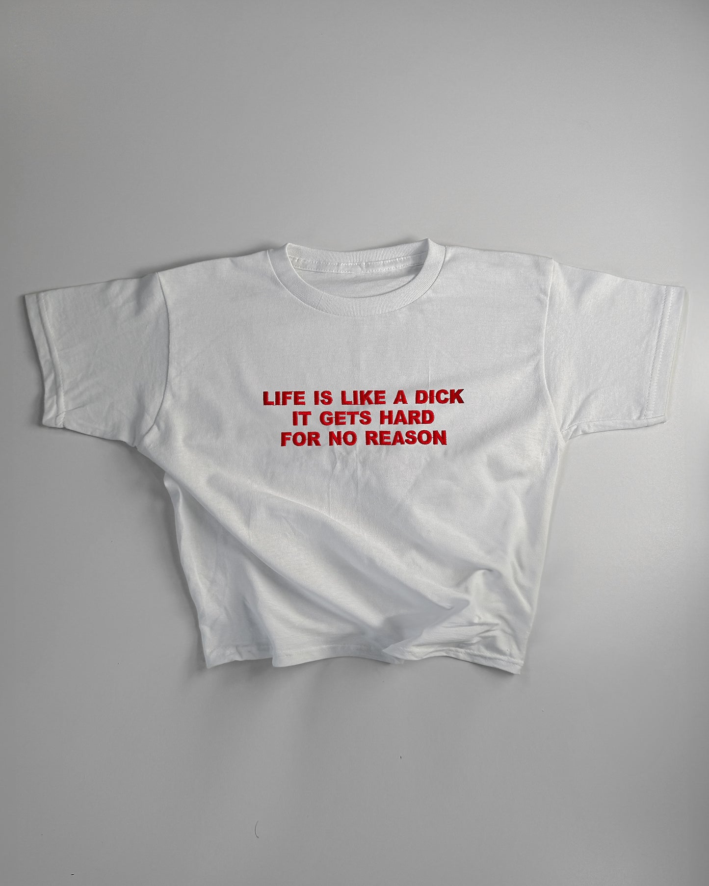 Embroidered 'Life Is Like A D*ck, It Gets Hard For No Reason' 90s Y2K T-Shirt