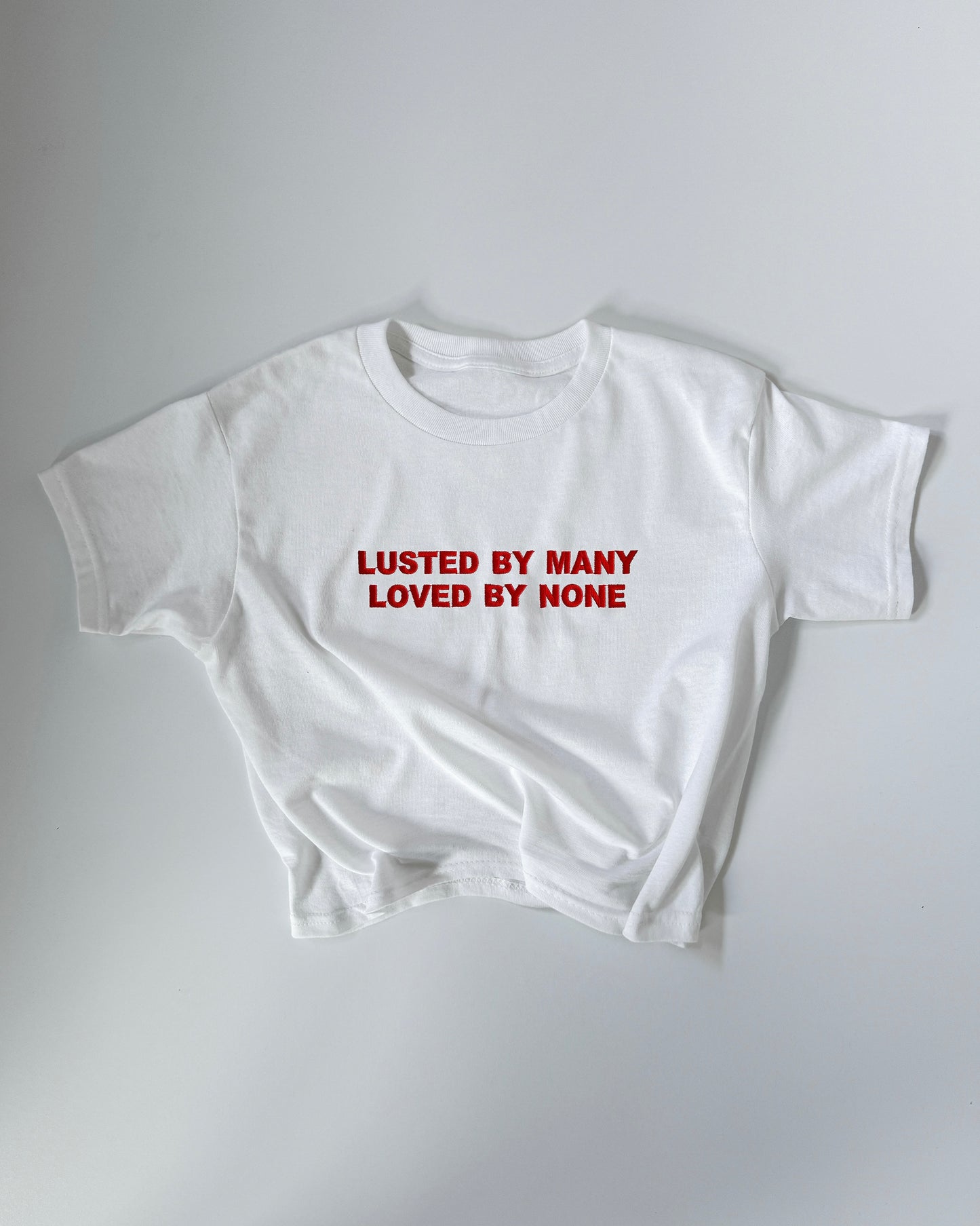 Embroidered 'Lusted By Many, Loved By None' 90s Y2K T-Shirt