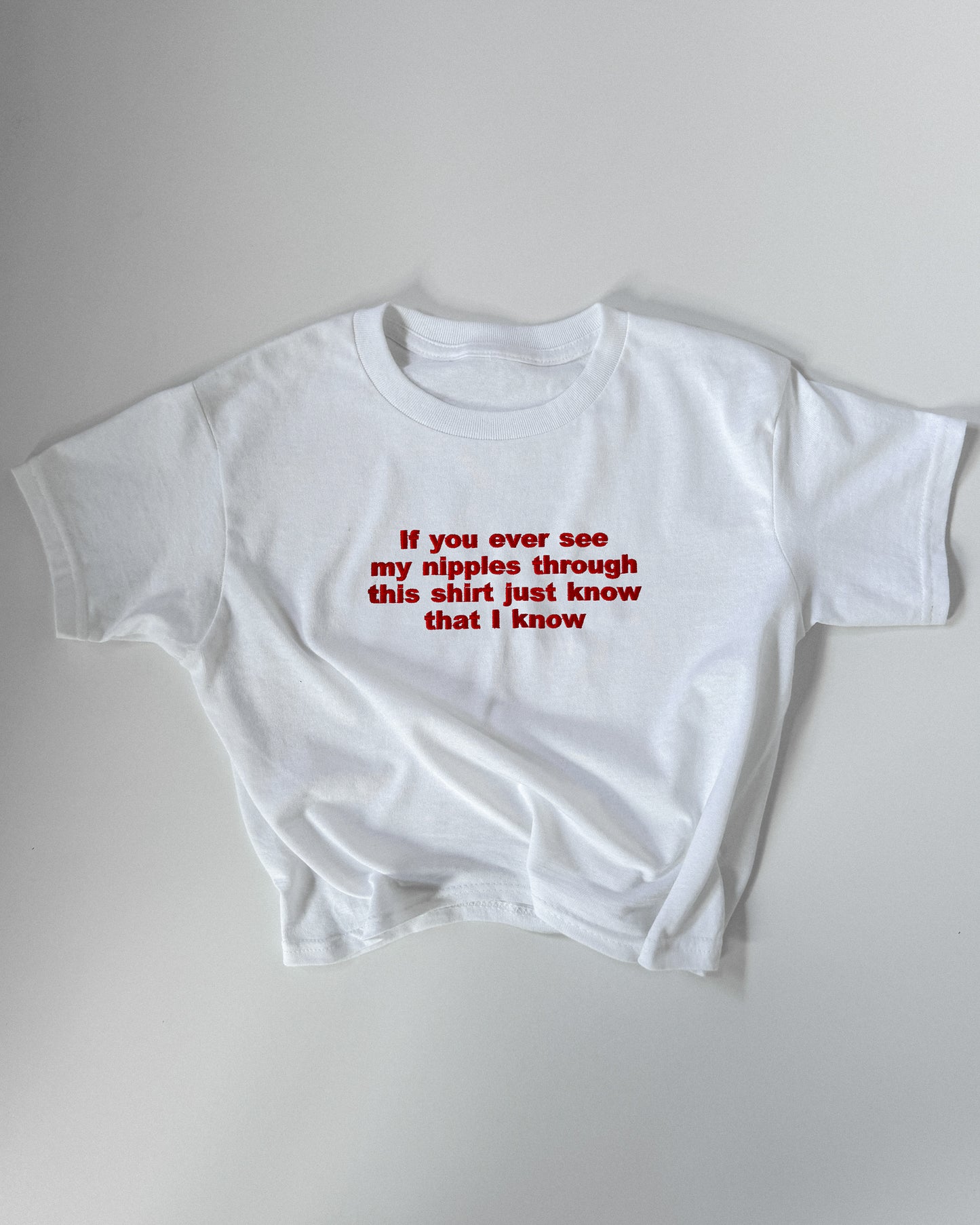 Embroidered 'If You Ever See My Nipples Through This Shirt Just Know I Know' 90s Y2K T-Shirt