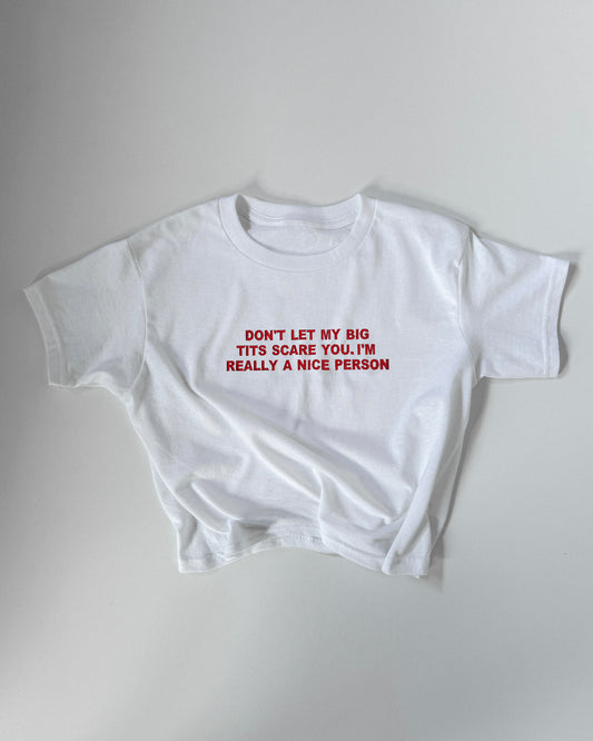 Embroidered 'Don't Let My Big Tits Scare You, I’m Really A Nice Person' 90s Y2K T-Shirt