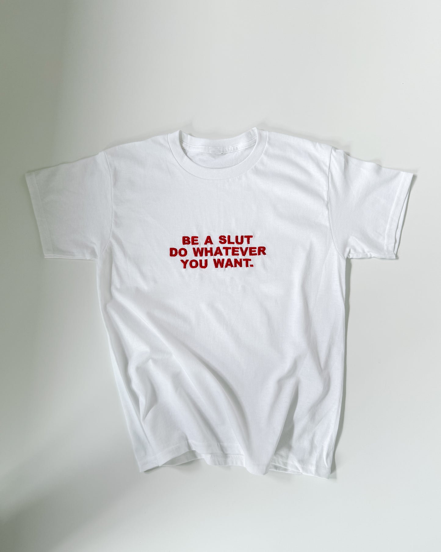 Embroidered 'Be A Sl*t, Do Whatever You Want' 90s Y2K T-Shirt