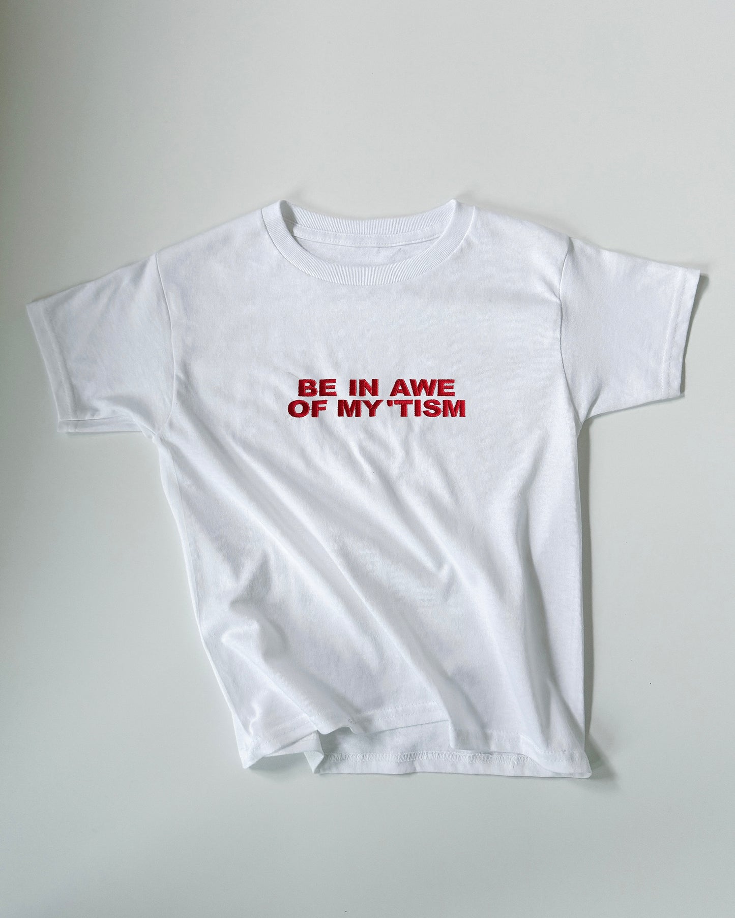 Embroidered 'AWE ‘TISM' 90s Y2K T-Shirt