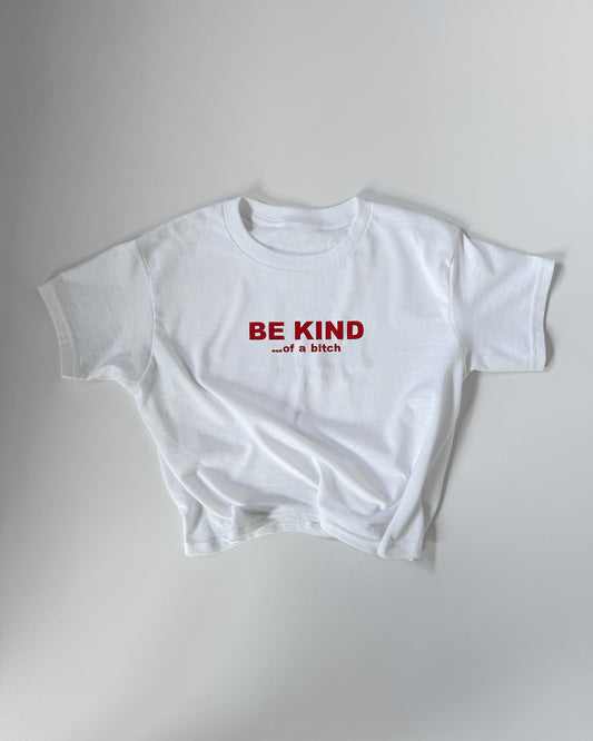 Embroidered 'BE KIND...of a bitch' 90s Y2K T-Shirt