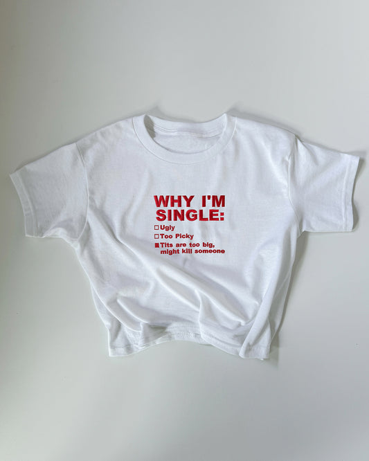 Embroidered 'WHY I’M SINGLE (Tits Version)' 90s Y2K T-Shirt