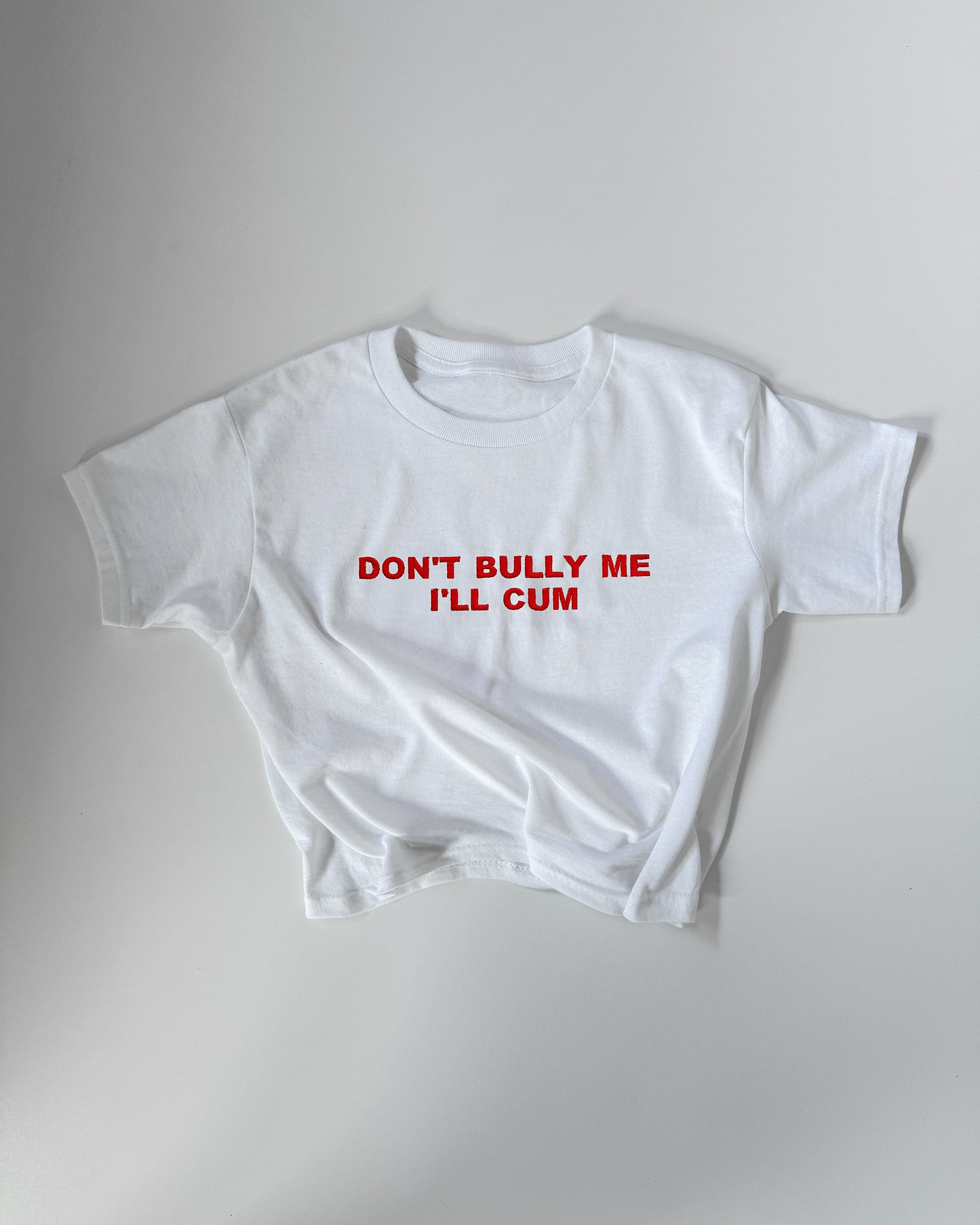Embroidered 'DON'T BULLY ME I'LL CUM' 90s Y2K T-Shirt