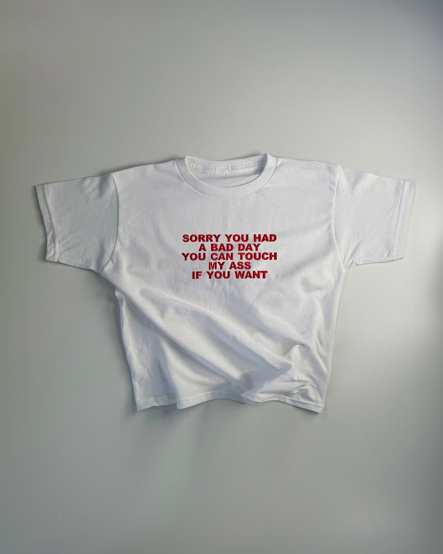 Embroidered 'Sorry You Had A Bad Day, You Can Touch My Ass If You Want' 90s Y2K T-Shirt