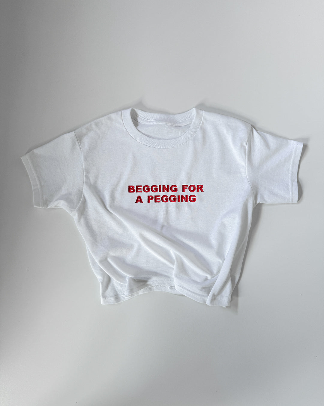 Embroidered 'Begging For A Pegging' 90s Y2K T-Shirt