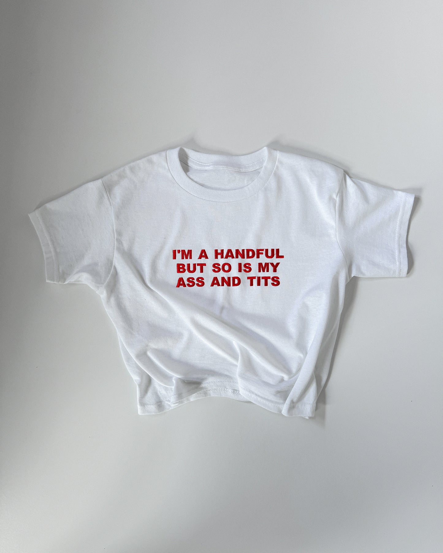 Embroidered 'I’m A Handful But So Is My Ass And Tits' 90s Y2K T-Shirt