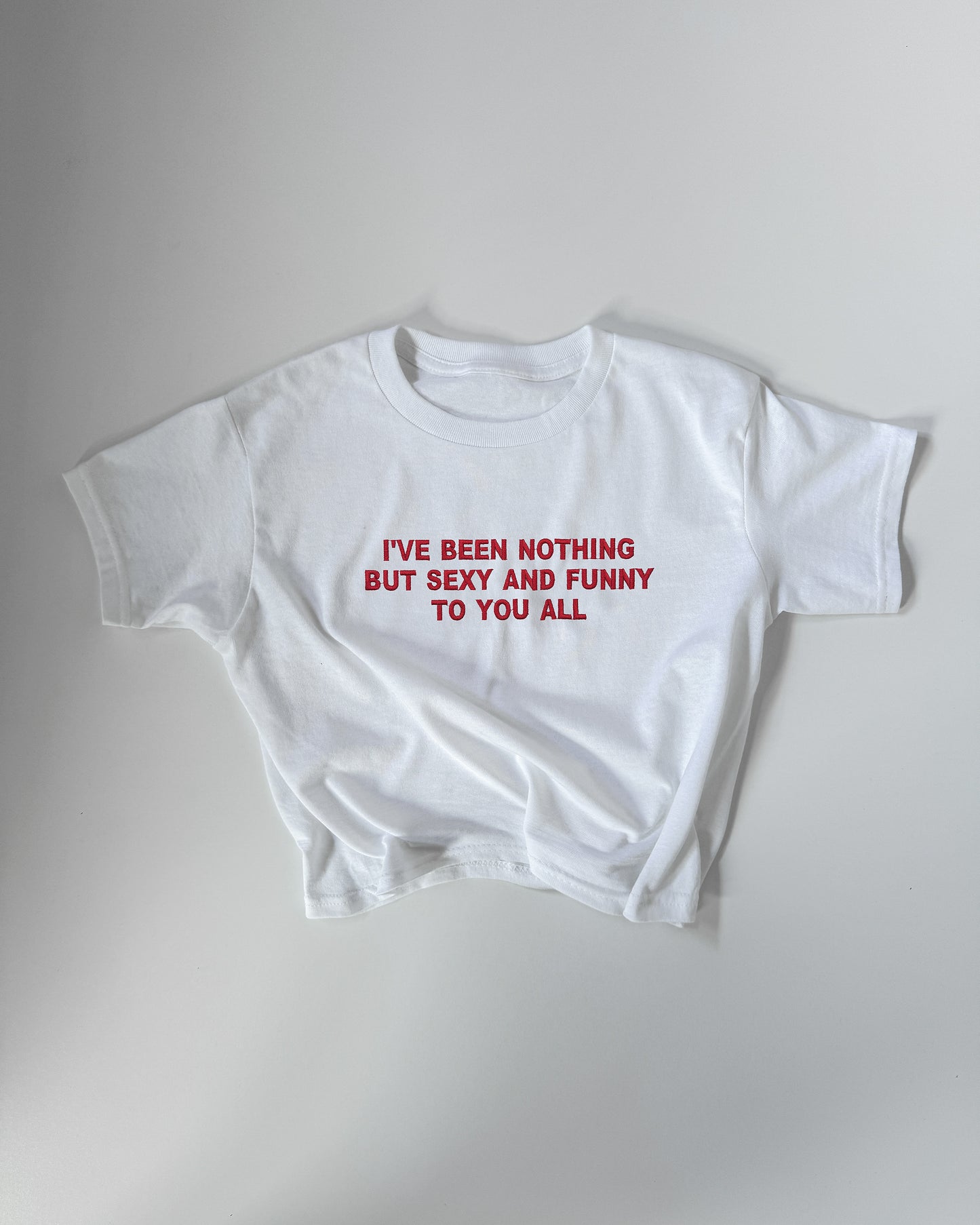 Embroidered 'I’ve Been Nothing But Sexy And Funny To You All' 90s Y2K T-Shirt