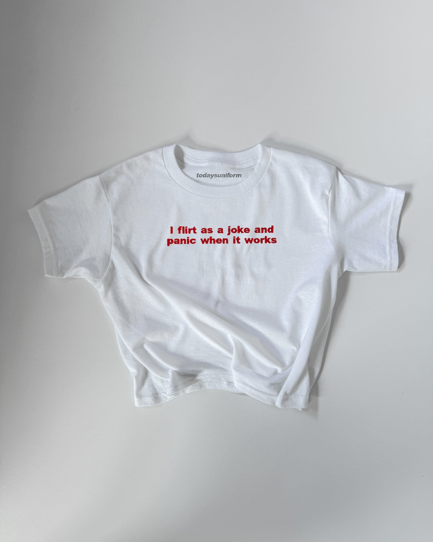 'I Flirt As A Joke And Panic When It Works' Embroidered T-Shirt/Sweatshirt