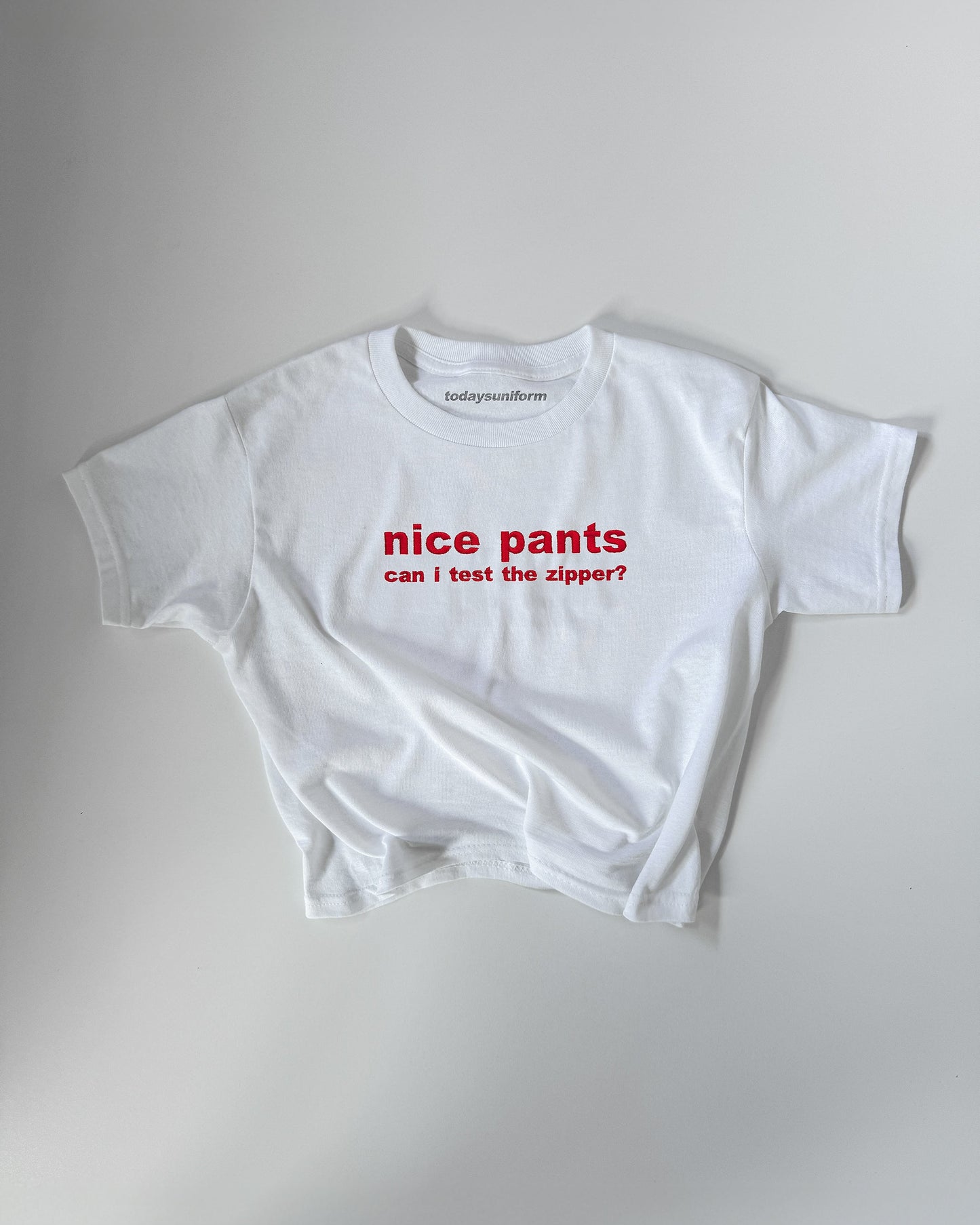 Embroidered 'NICE PANTS CAN I TEST THE ZIPPER?' 90s Y2K T-Shirt