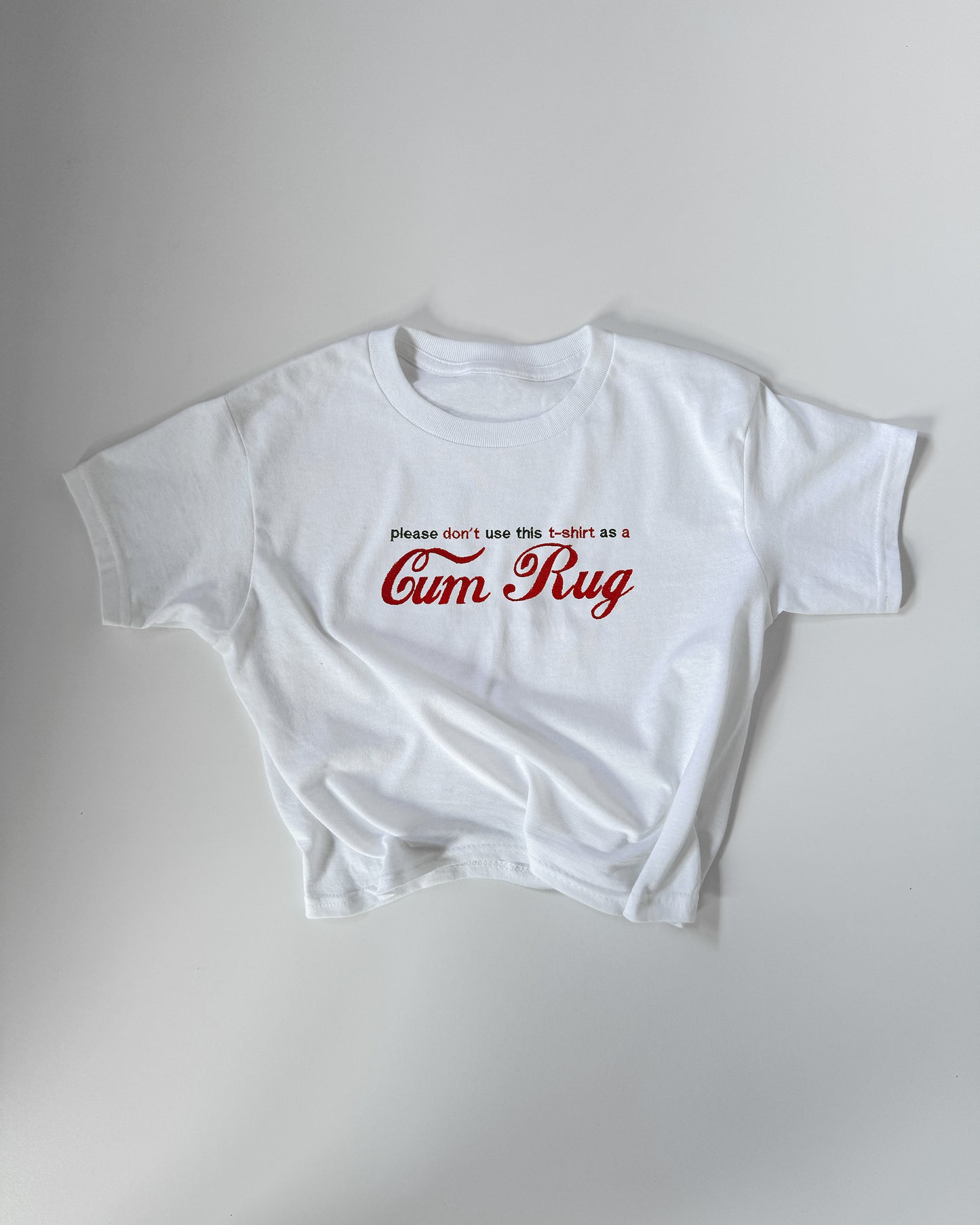 Embroidered 'PLEASE DON'T USE THIS T-SHIRT AS A CUM RUG' 90s Y2K T-Shirt