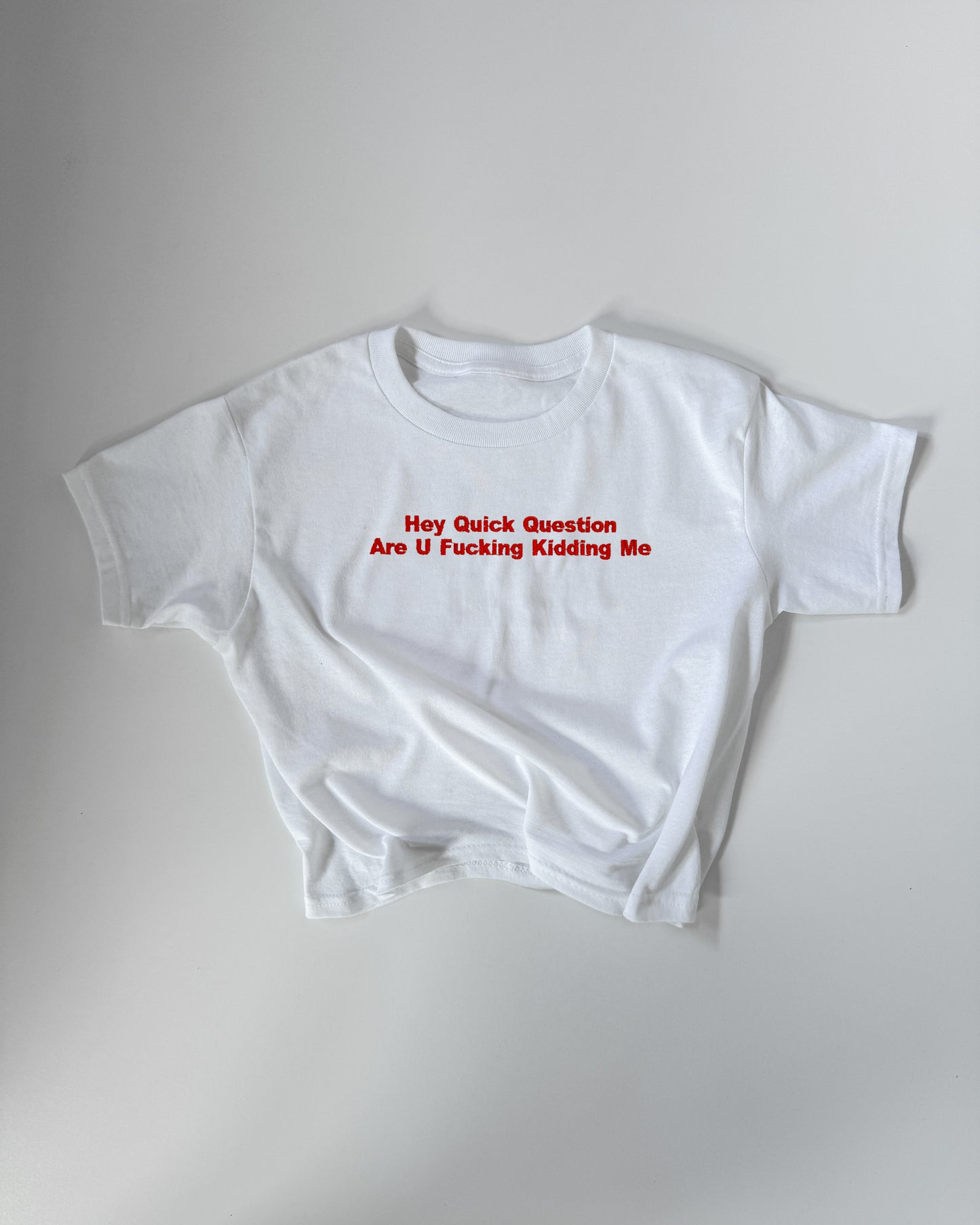 'Hey Quick Question Are U Fucking Kidding Me' Embroidered T-Shirt
