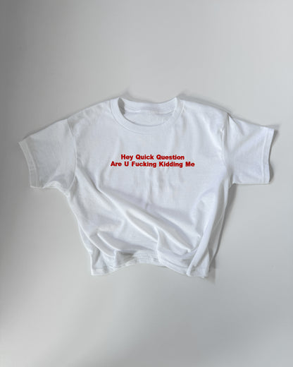'Hey Quick Question Are U Fucking Kidding Me' Embroidered T-Shirt