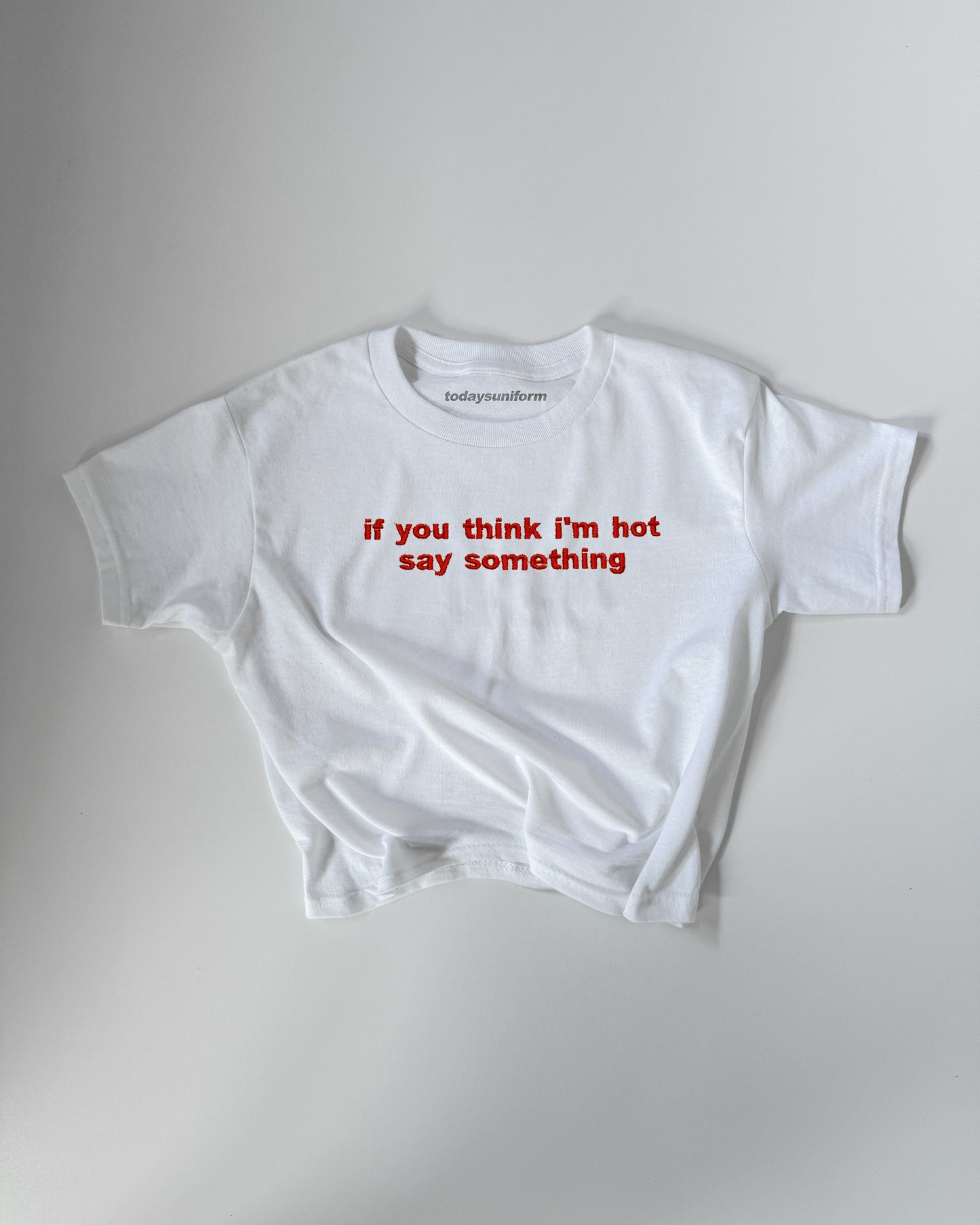 Embroidered 'If You Think I'm Hot Say Something' 90s Y2K T-Shirt