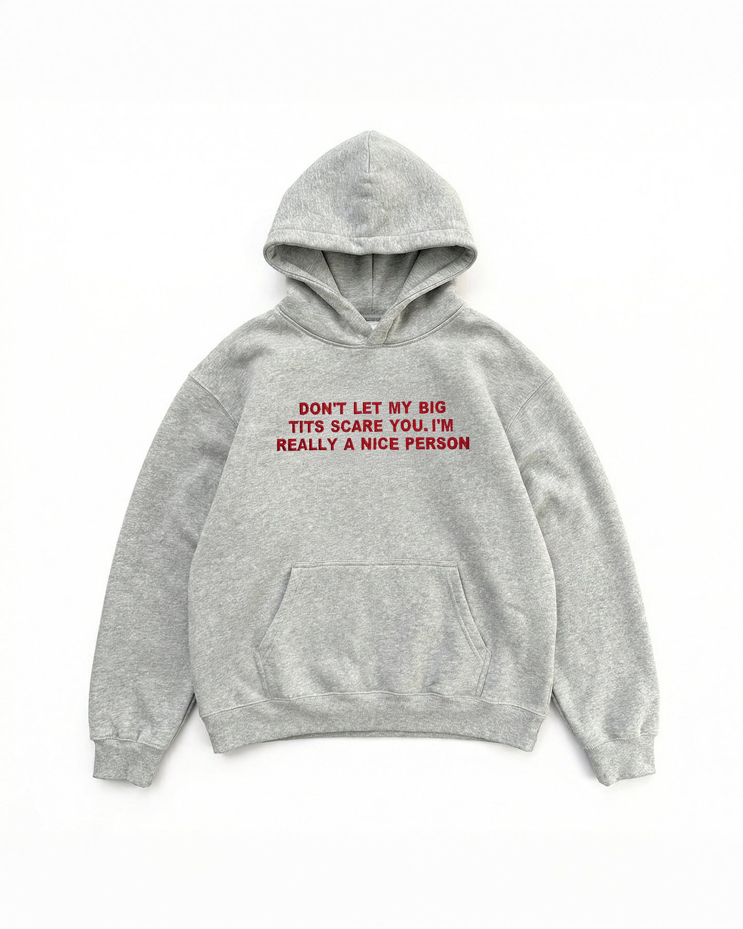 Embroidered 'Don't Let My Big Tits Scare You, I’m Really A Nice Person' 90s Hoodie