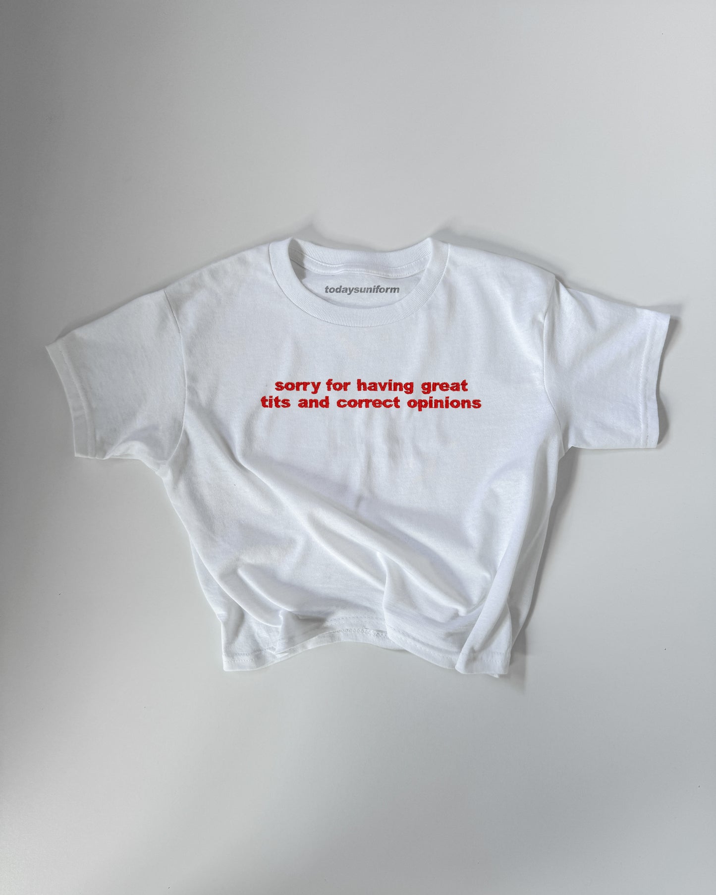 Embroidered 'Sorry For Having Great Tits And Correct Opinions’ 90s Y2K T-Shirt/Sweatshirt